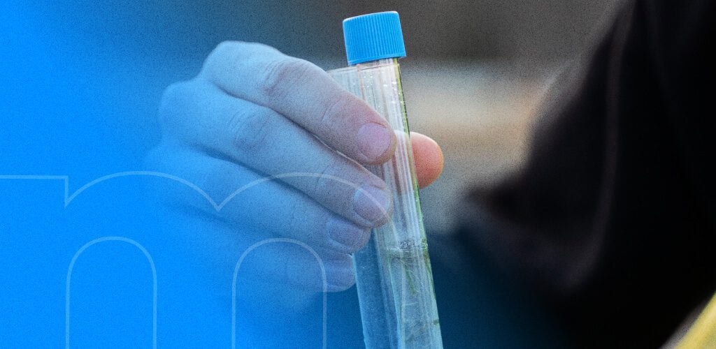 Desinfecção de efluentes em ETEs: entenda a importância